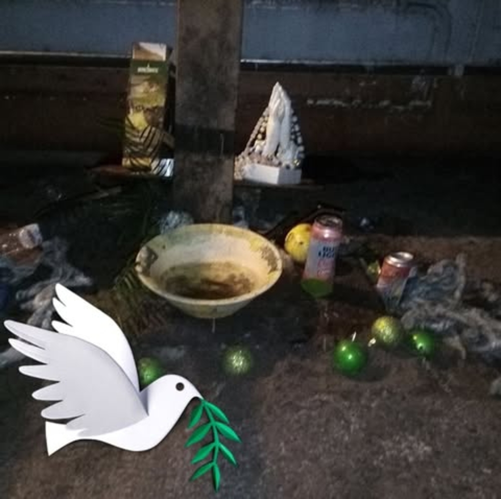 Meet your Posher, Cortney